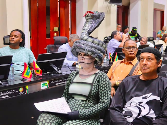 Representantes del sector cultural intervinieron en sesión informal ante la plenaria para exigir mesas técnicas. // Concejo Distrital