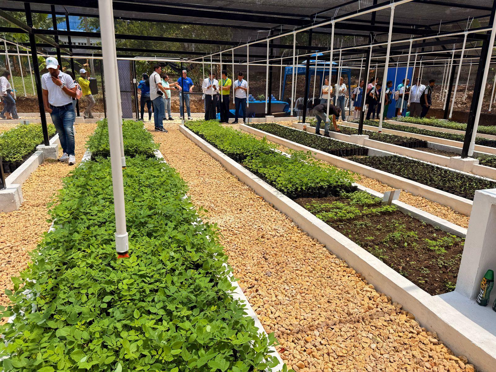 Alcaldía de Cartagena