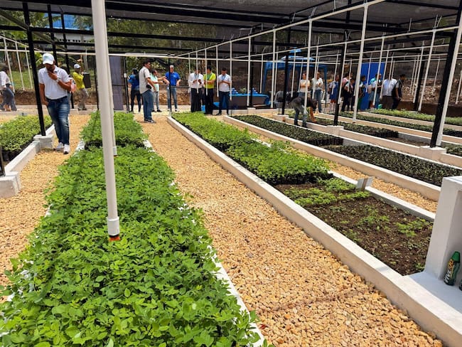 Alcaldía de Cartagena