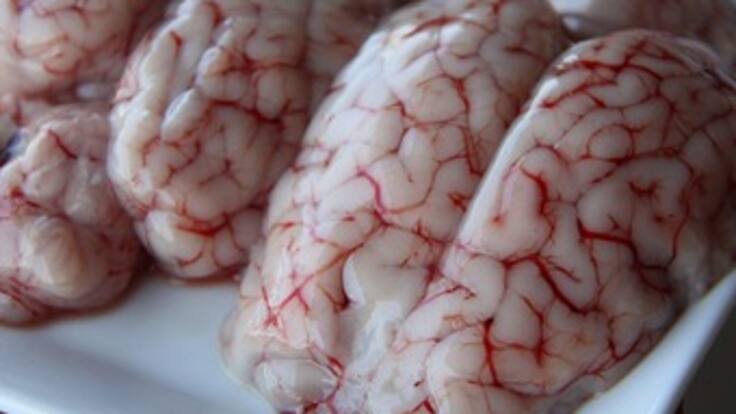 Así se hace la gimnasia mental