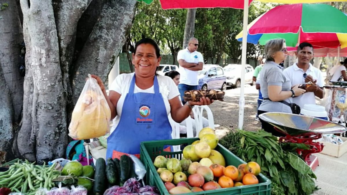 En Cali, mercados con sentido ecológico