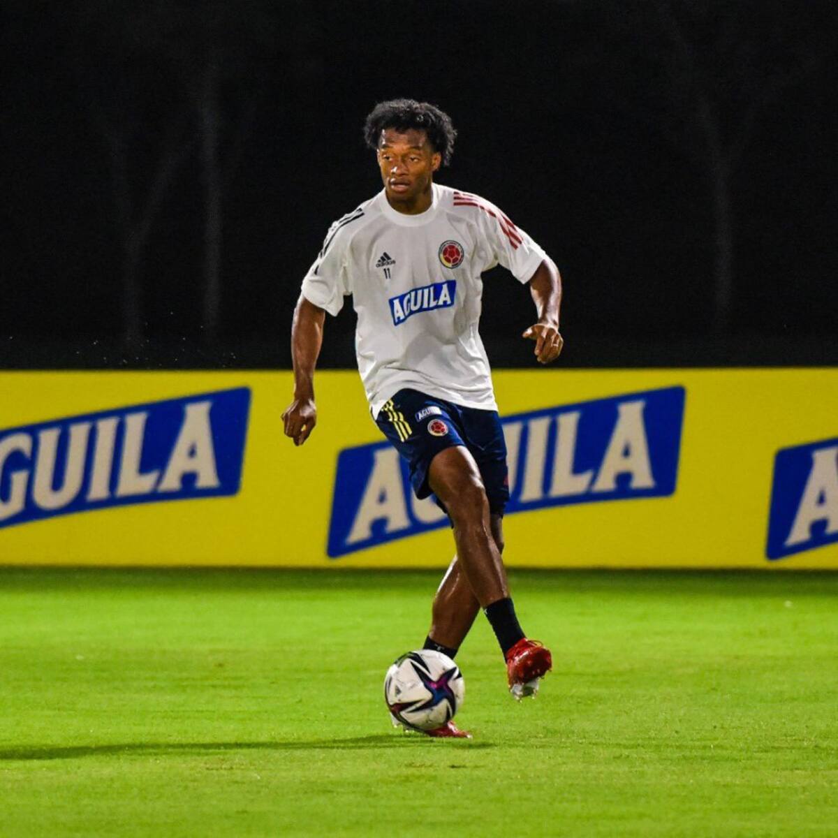 Juan Guillermo Cuadrado, extremo de la Selección Colombia.