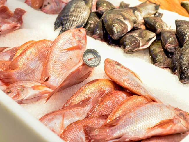 Revise la calidad del pescado. Foto: Secretaría de Salud Pasto