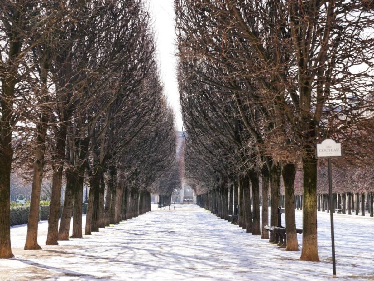 Fotógrafo murió congelado en París tras caer al suelo y ser ignorado
