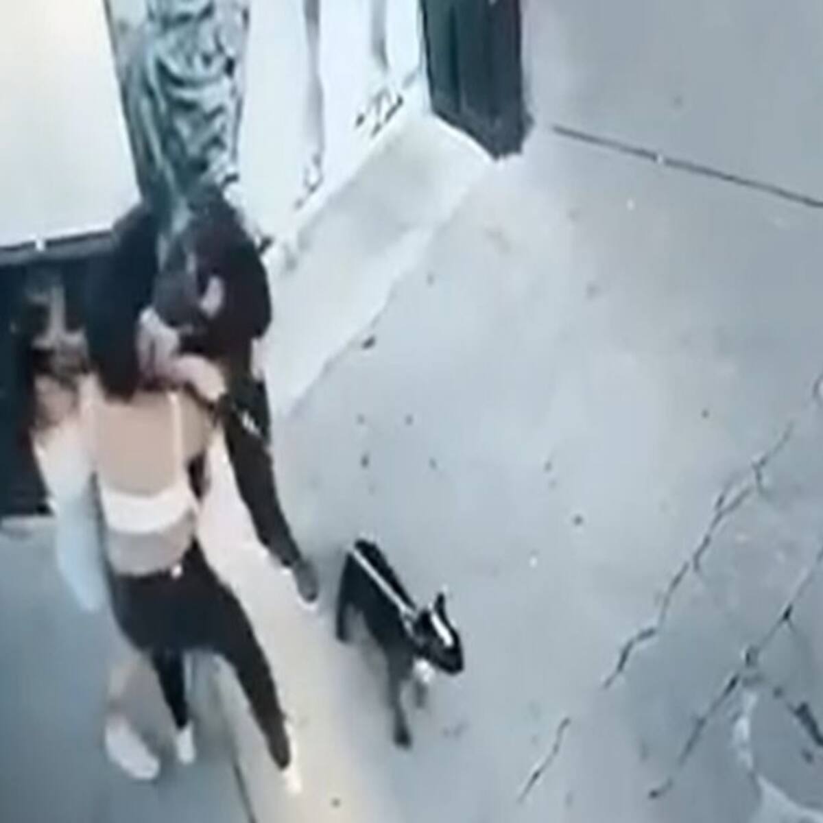 VIDEO: A golpes y mordiscos fueron robadas dos mujeres en Bucaramanga