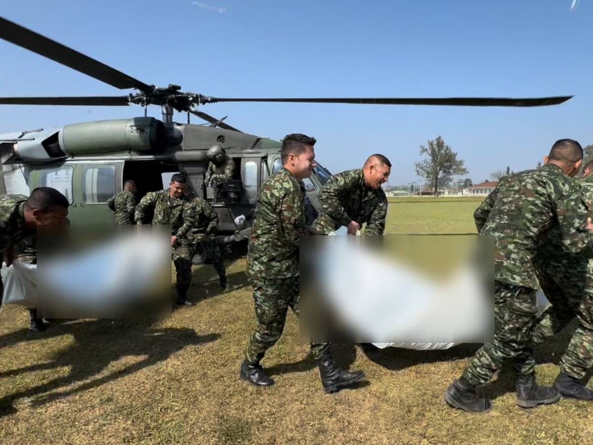 Mueren dos integrantes del ELN en combates con el Ejército en zona rural de Cauca