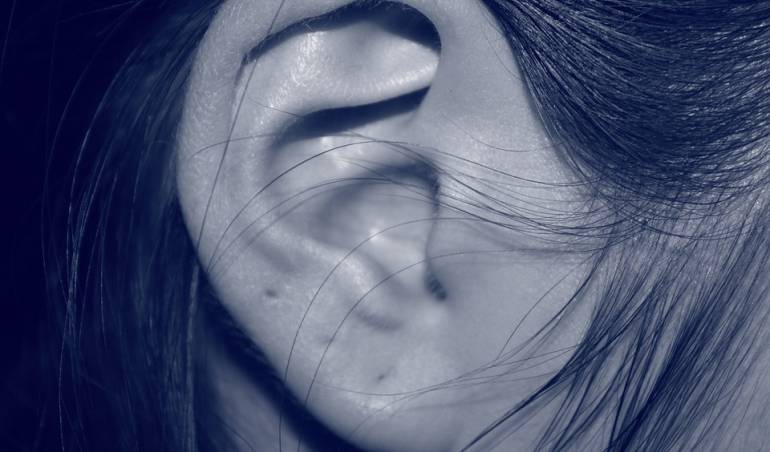 Imagen de referencia