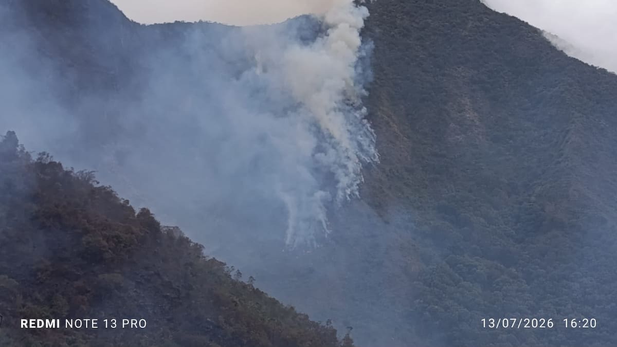 Incendio ha arrasado más de seiscientas hectáreas de vegetación en Cumbitara