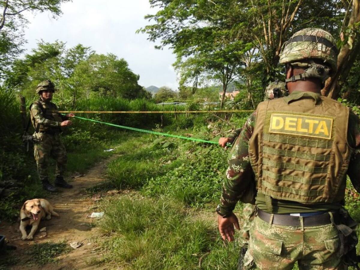 ELN instala artefactos explosivos para atentar contra las bases militares