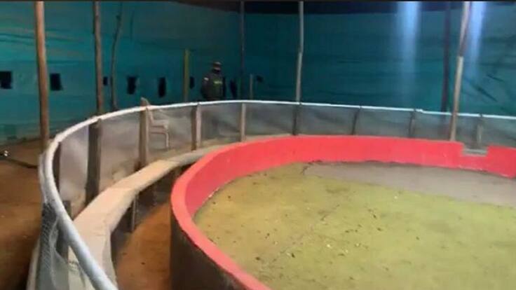 VIDEO: Unas 100 personas fueron sorprendidas en gallera clandestina