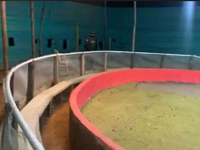 VIDEO: Unas 100 personas fueron sorprendidas en gallera clandestina