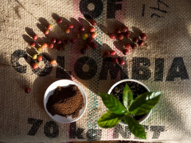 Imagen de referencia a café/ Getty Images