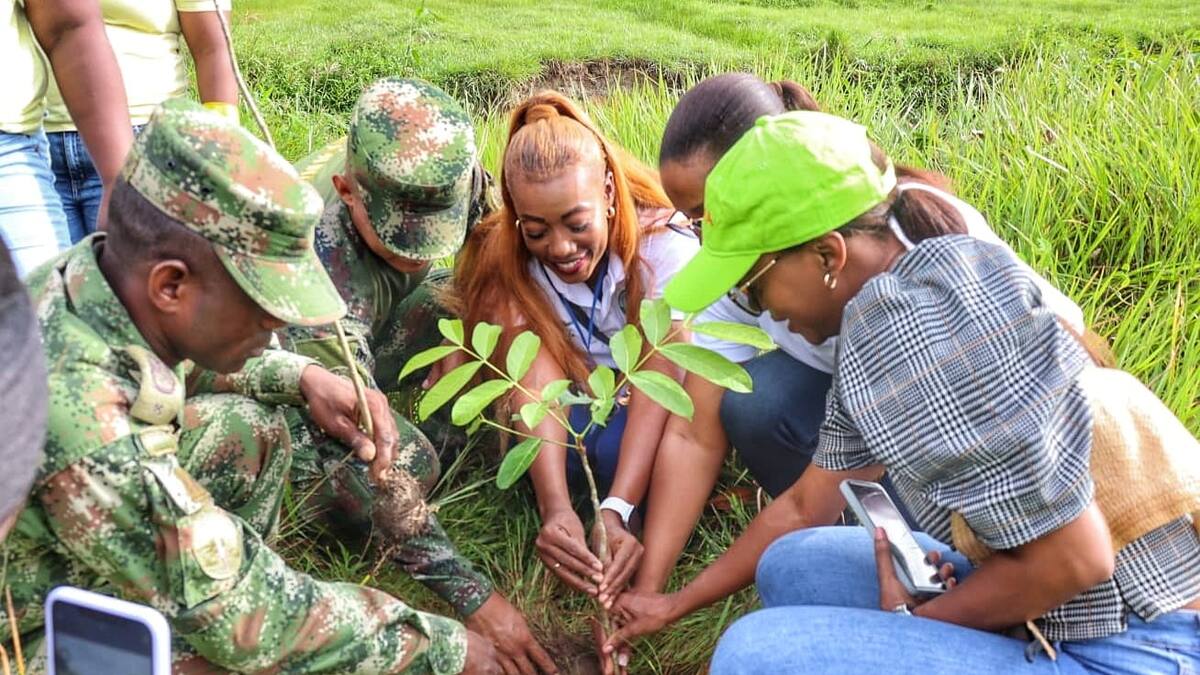 Ejército Nacional rompe récord al sembrar 86.700 árboles en un minuto