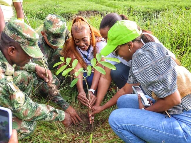 Cortesía: Ejército Nacional