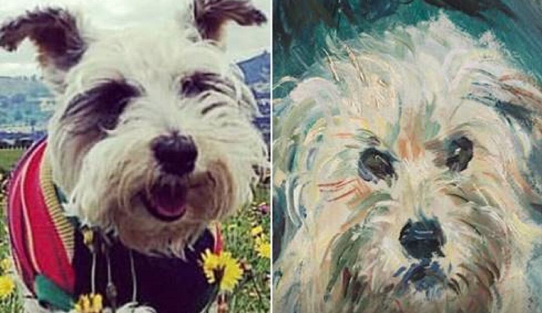 Funciones en Google Art