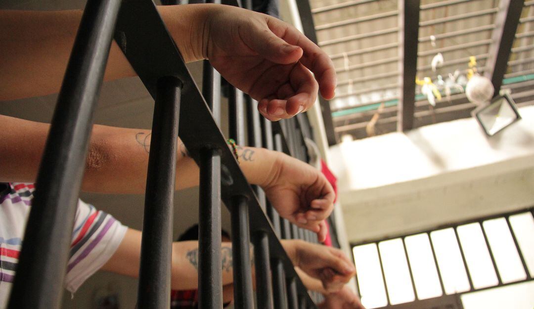 Imagen de referencia.