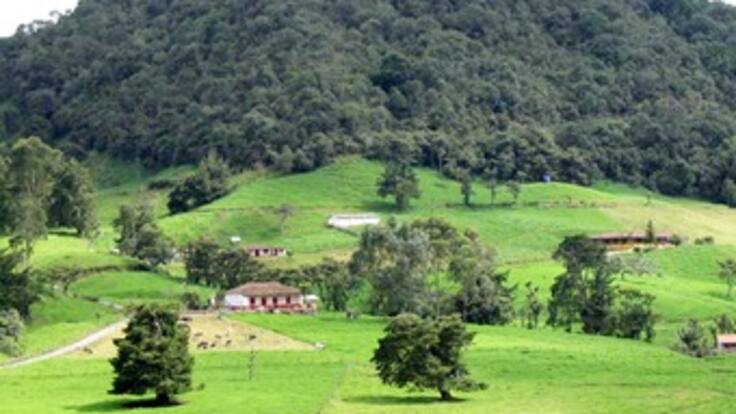 En libertad funcionarios del Incoder implicados en adjudicación irregular de tierras