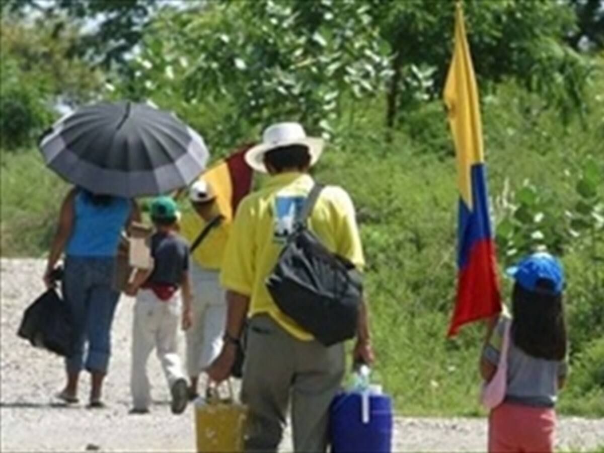 En Colombia persiste impunidad y violación de DDHH: Amnistía Internacional