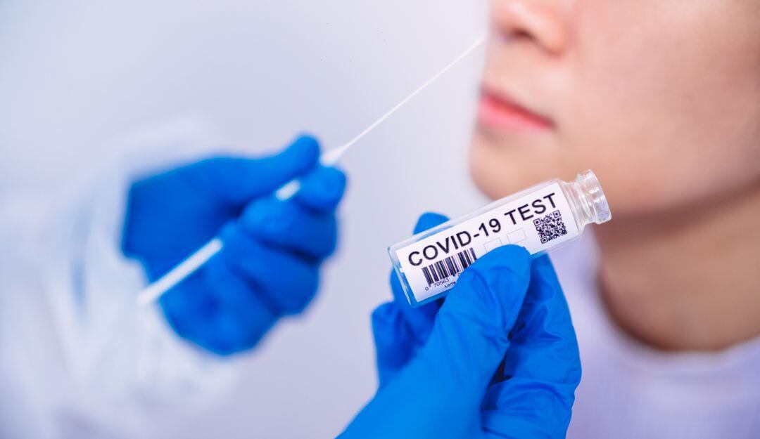 Imagen de referencia