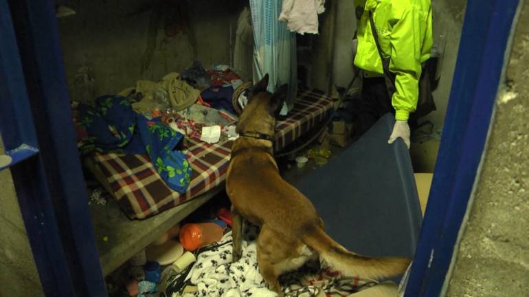 Con perros antinárcoticos se hicieron operativos en cárceles de Medellín y Bello.  
