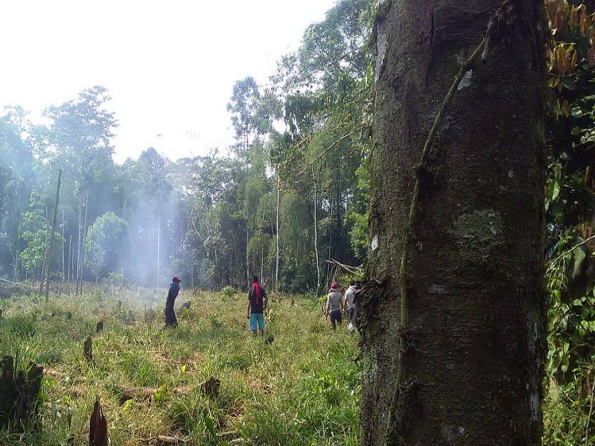 Denuncian violación de Derechos Humanos a campesinos en el sur de Córdoba