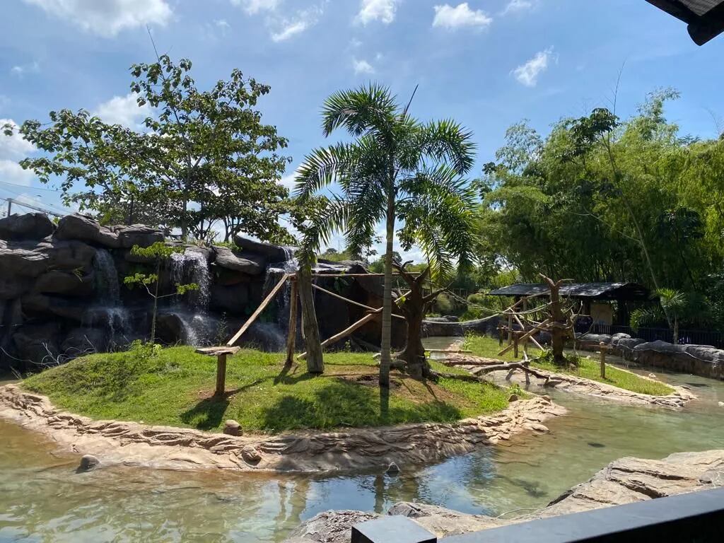 Hábitat de los lemures - Imagen de archivo - Bioparque Ukumarí.