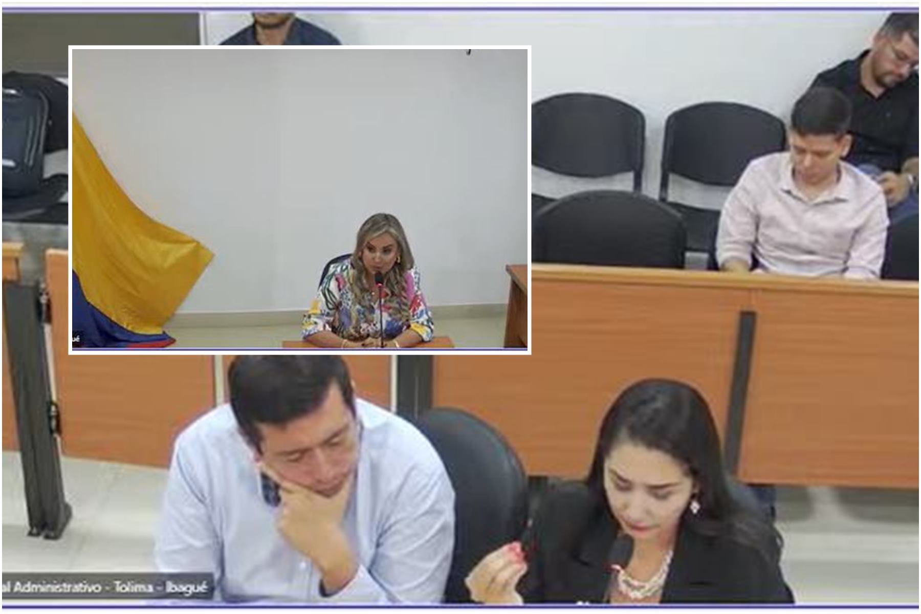 Audiencia ante el Tribunal Administrativo del Tolima