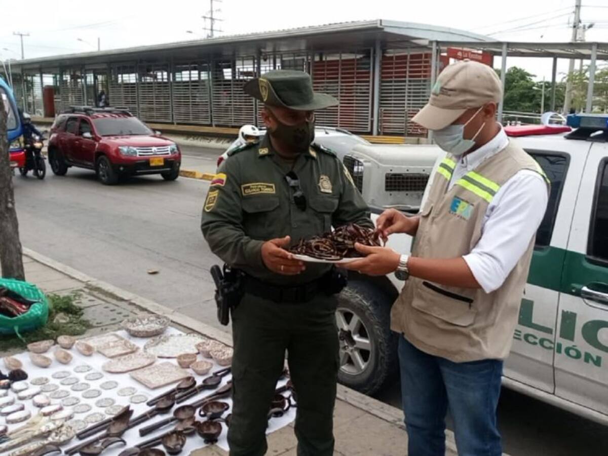 En Cartagena, incautan artesanías hechas con tortuga de carey