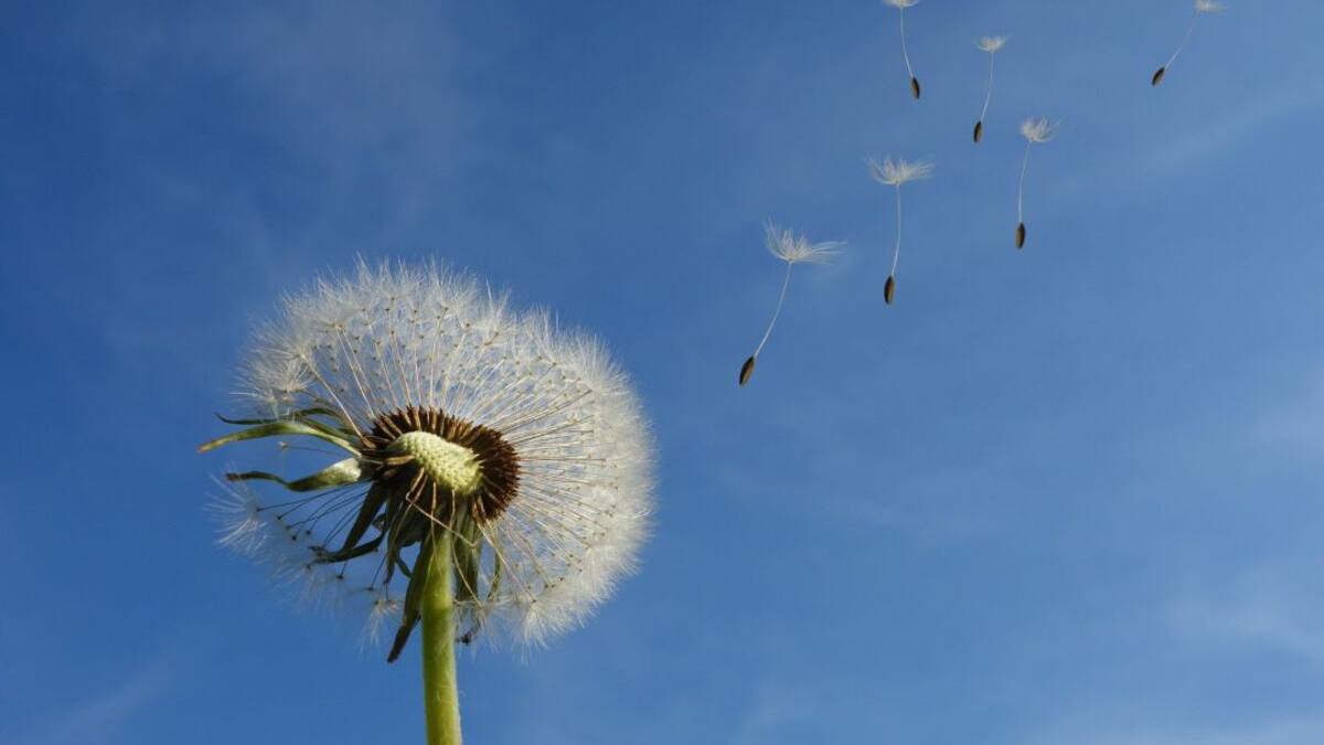 Renunciar para renacer.