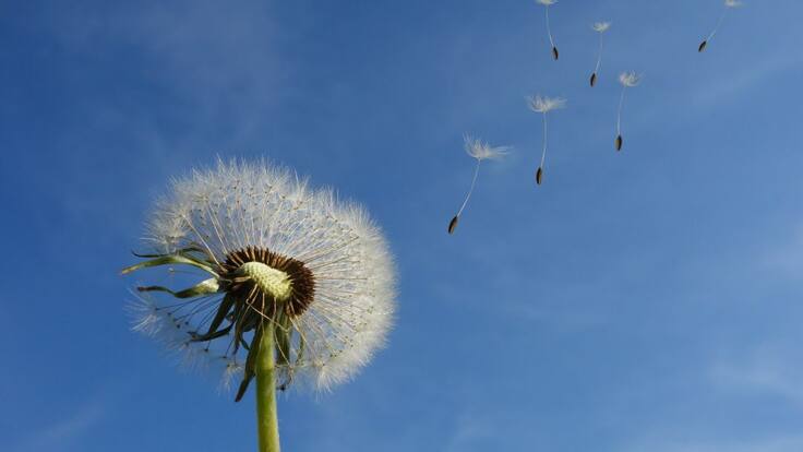 Renunciar para renacer.