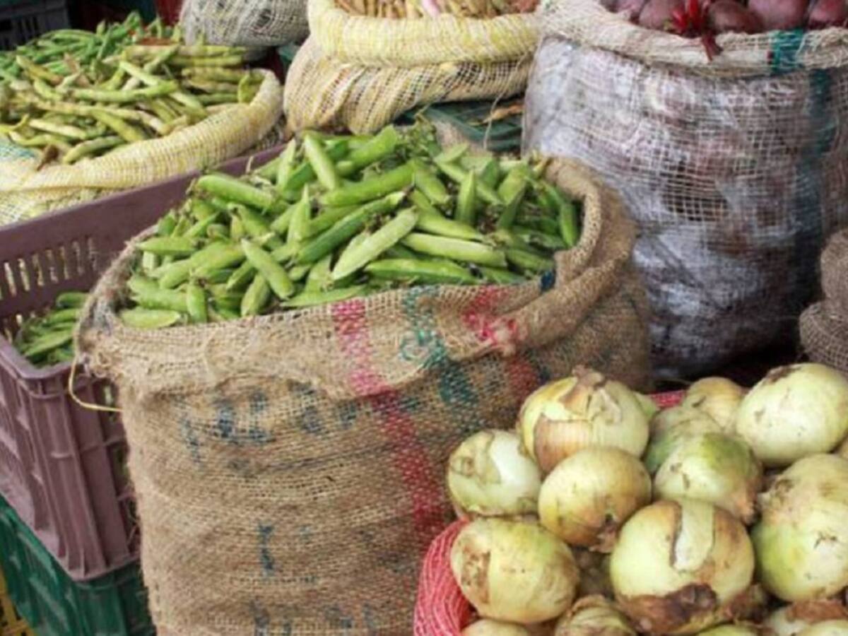 Dificultades en la producción agrícola del Catatumbo