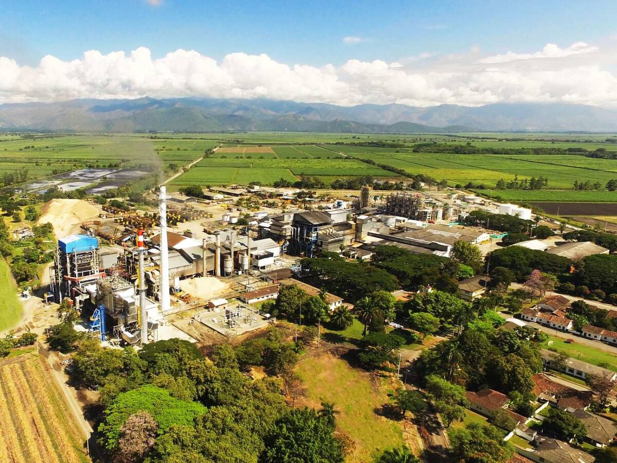 Riopaila Castilla anuncia nueva inversiones para mantener empleos en el suroccidente colombiano