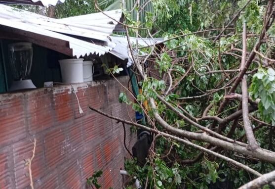 Ocho viviendas afectadas en La Dorada