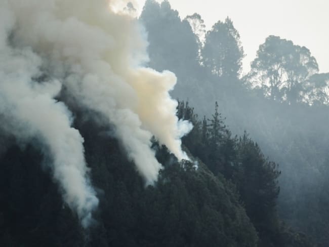 Incendios forestales han consumido más de 5.000 hectáreas protegidas en el país