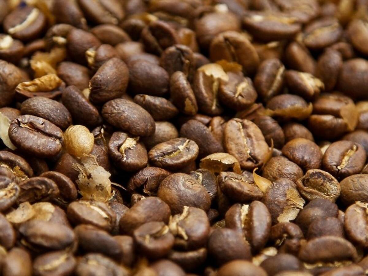 Preocupación en gremio cafetero por la importación de café