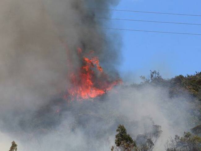 Recuperar una hectárea afectada por incendios forestales cuesta $30 millones
