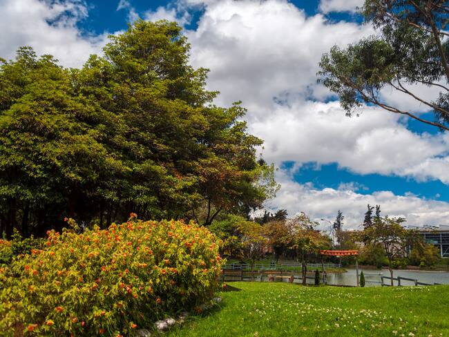 Parque de los Novios, Bogotá (Foto vía Getty Images)