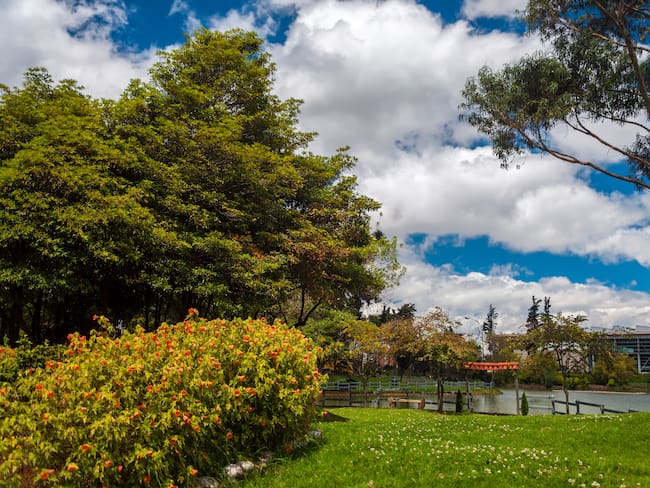 Parque de los Novios, Bogotá (Foto vía Getty Images)