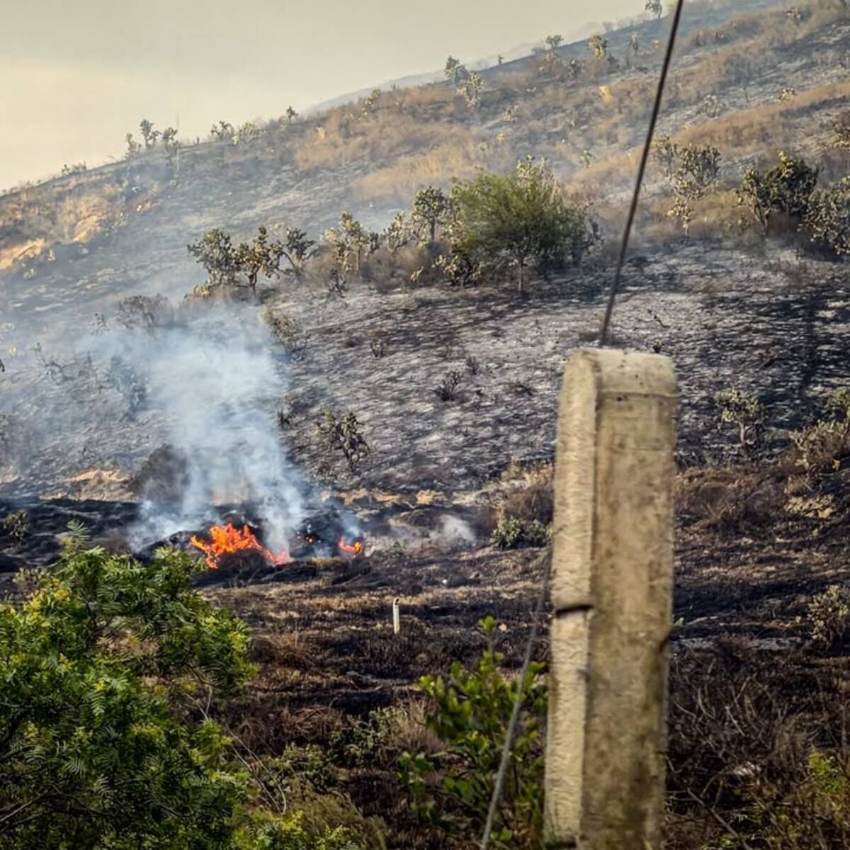 Refuerzan atención a grave incendio en Cundinamarca que amenaza Indumil