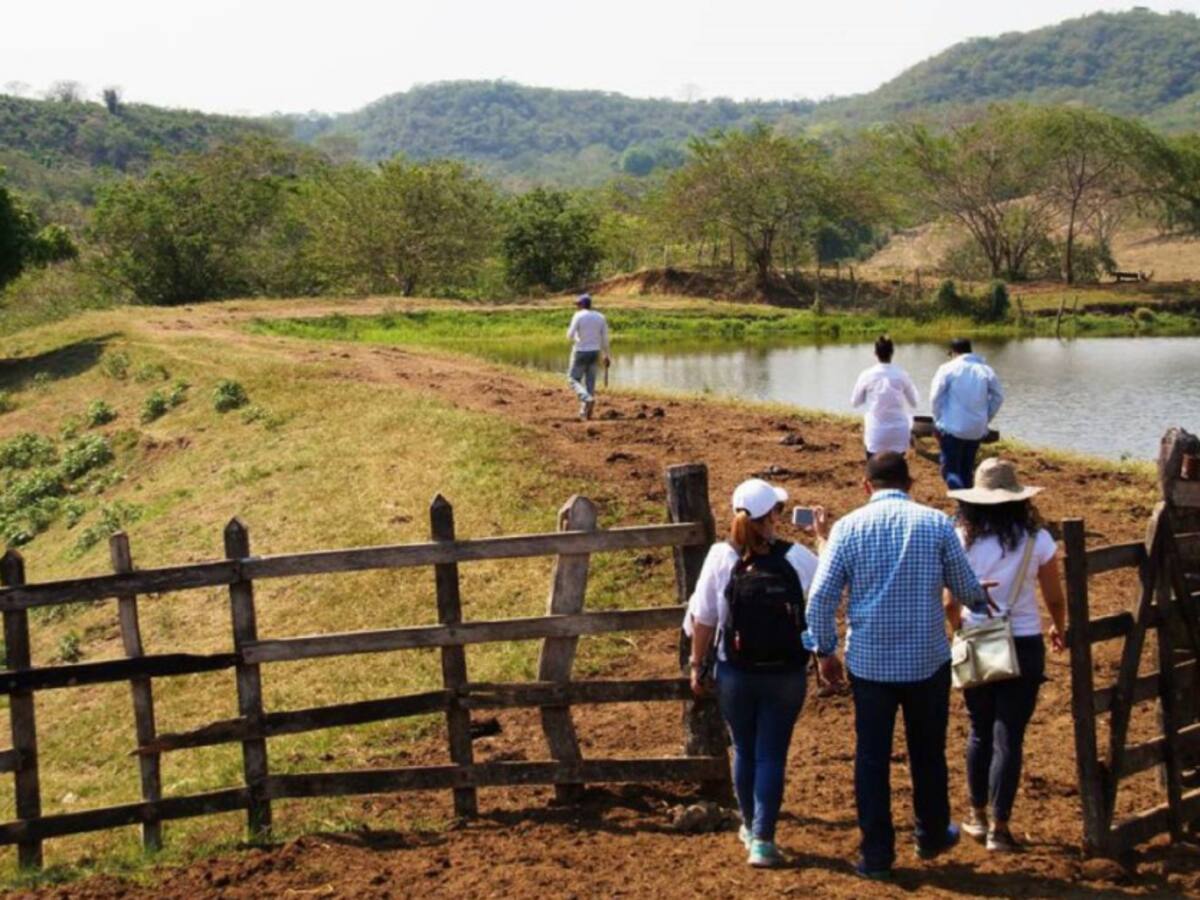 Beneficiarios de restitución de tierras fortalecen sus proyectos productivos
