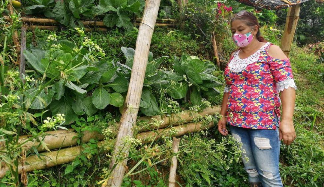 Programa de Seguridad Alimentaria en Manizales