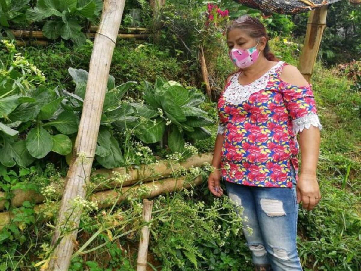 Familias campesinas de Manizales reciben insumos para seguridad alimentaria