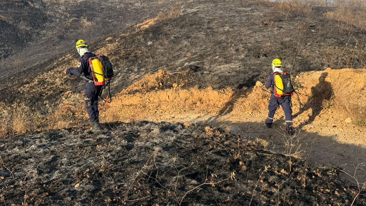 Incendio forestal en Moscovia completa más de 24 horas activo y ya afecta cerca de 12 hectáreas