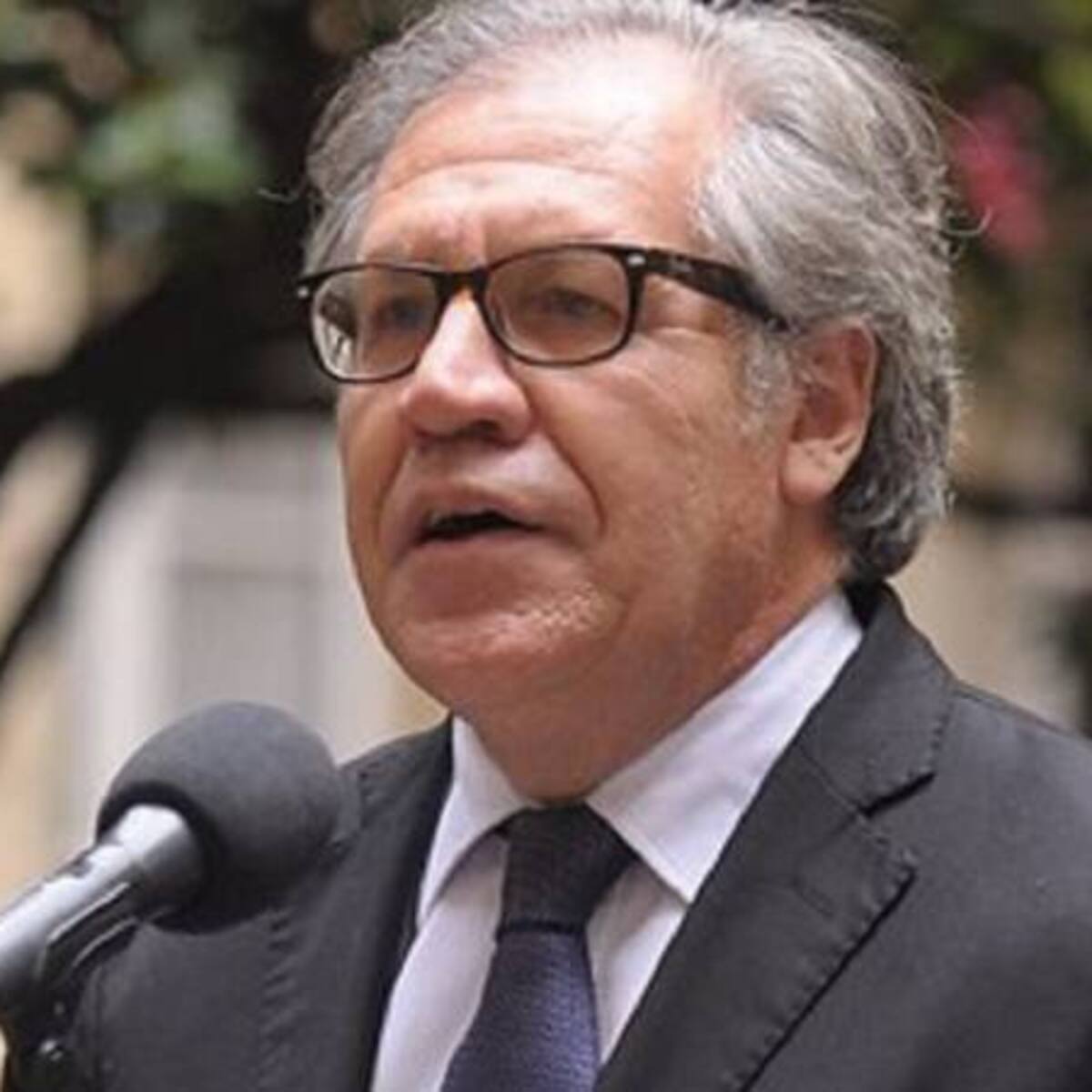Guatemala: OEA rechaza suspensión del partido del presidente electo