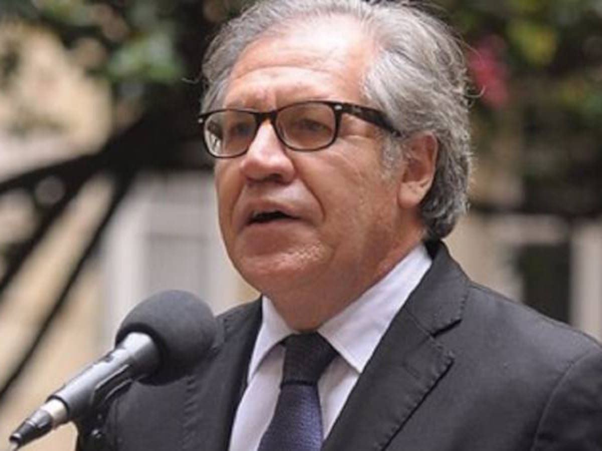 Guatemala: OEA rechaza suspensión del partido del presidente electo