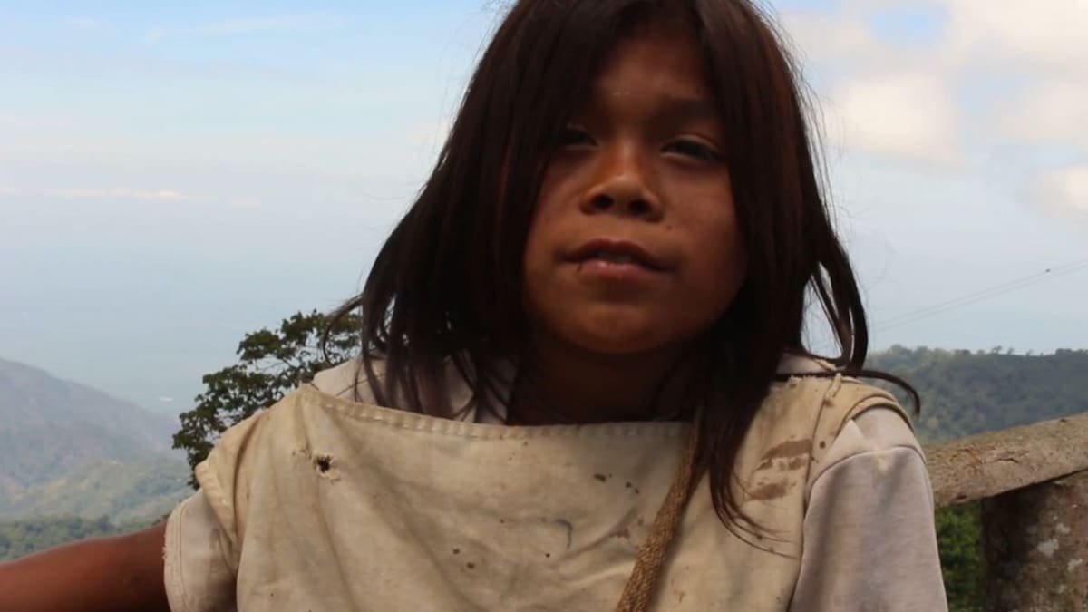 Un panel solar para cargar celulares, la petición de niños indígenas