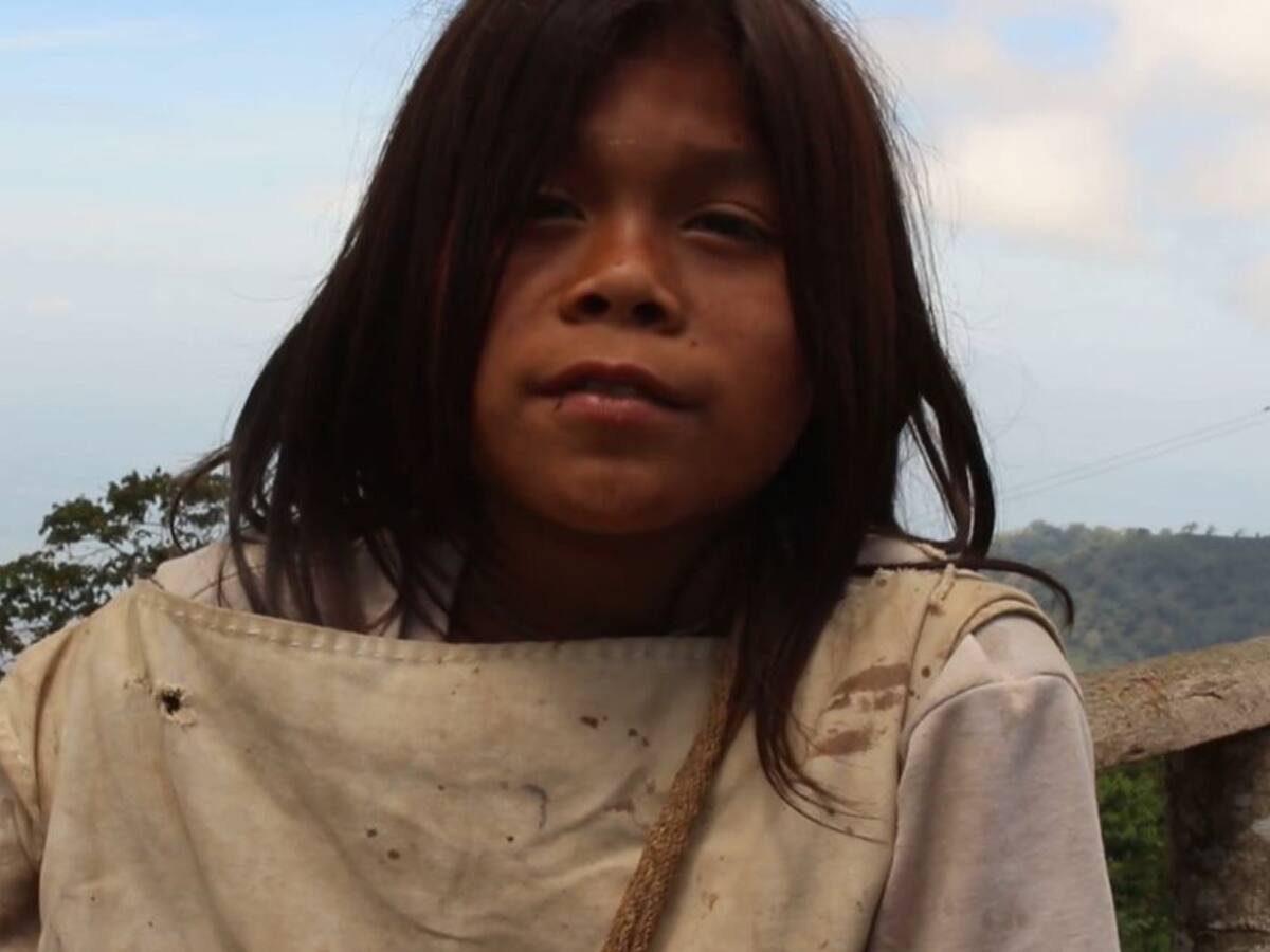 Un panel solar para cargar celulares, la petición de niños indígenas
