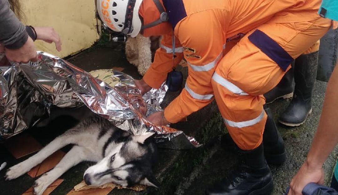 Foto: Defensa Civil de Anserma, Caldas.