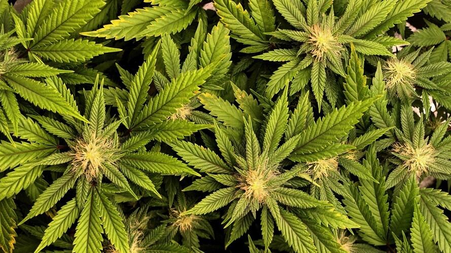 Imagen de referencia. Foto: Getty Images