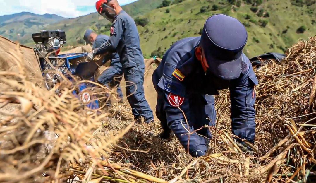 En el Huila, soldados crearon máquina desgranadora de frijol